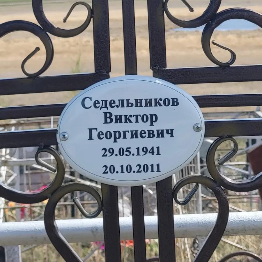Седельников Виктор Георгиевич