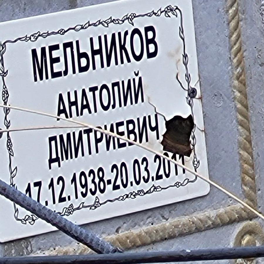 Мельников Анатолий Дмитриевич
