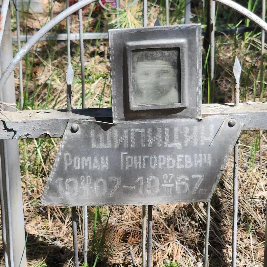 Шипицин Роман Григорьевич