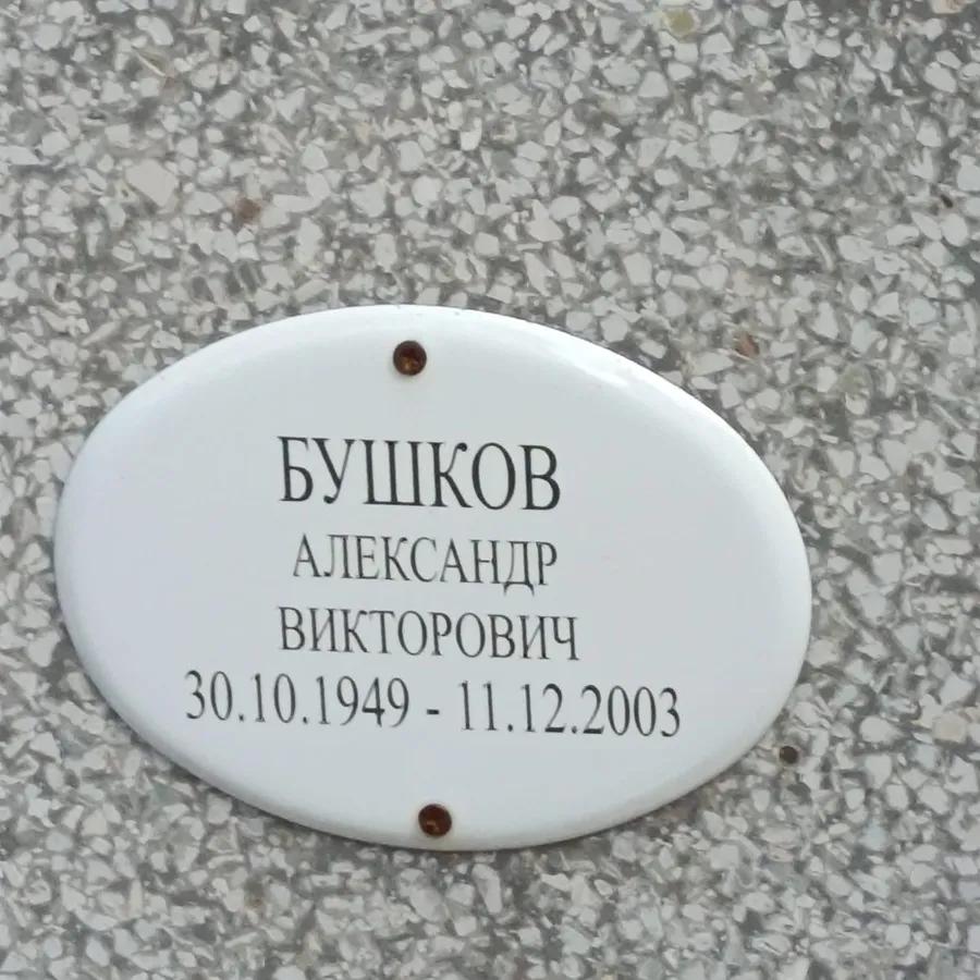 Бушков Александр Викторович