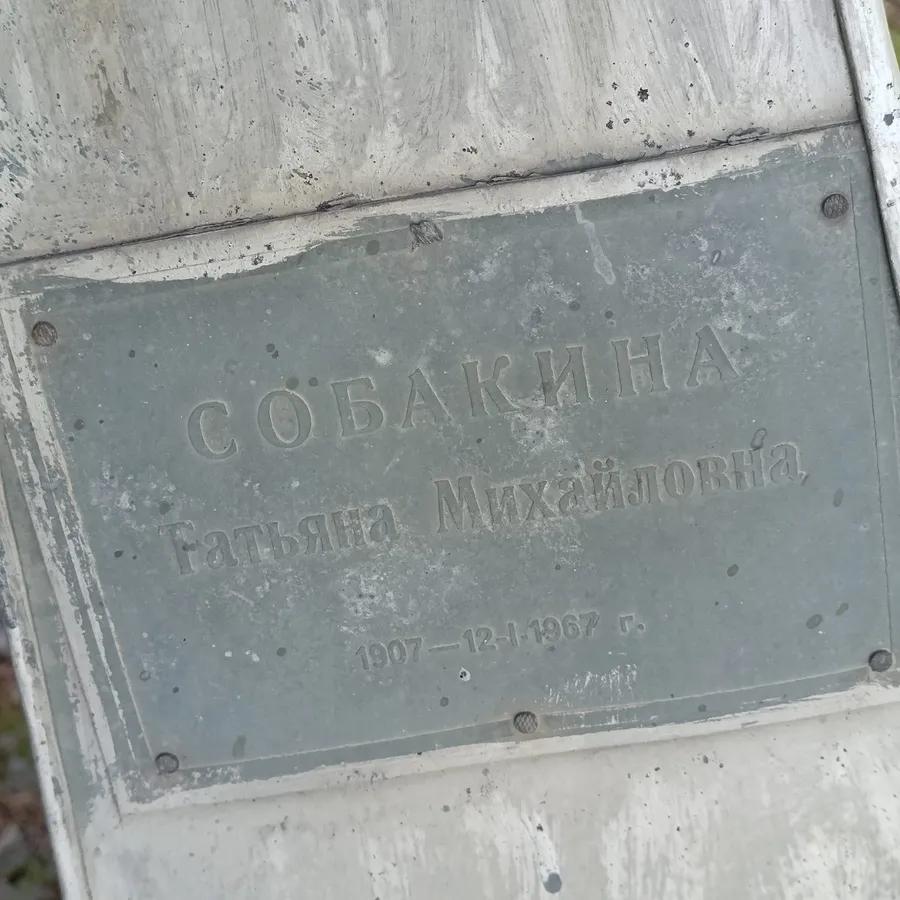 Собакина Татьяна Михайловна