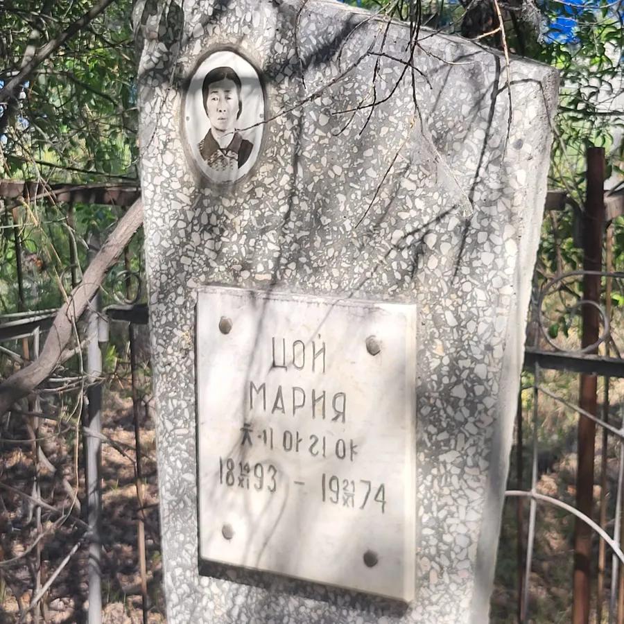 Цой Мария
