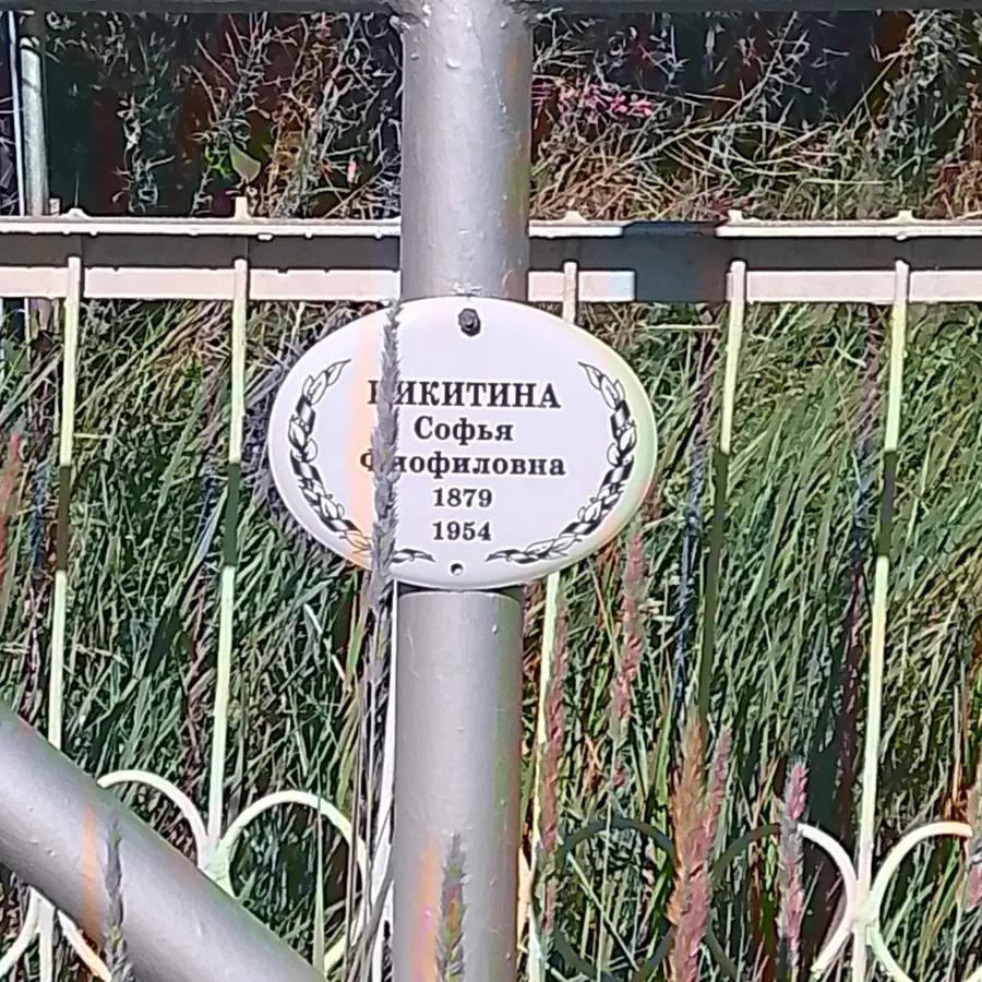 Никитина Софья Фиофиловна