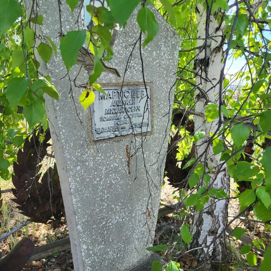 Мартюшев Андриан Михайлович