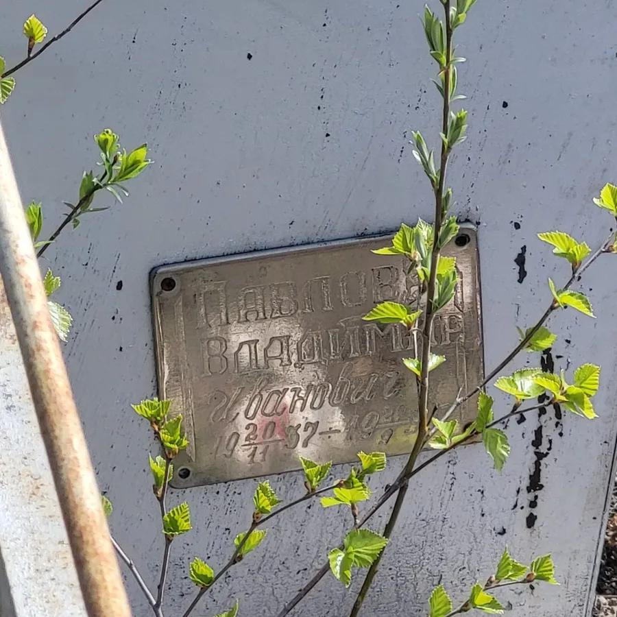 Павлов Владимир Иванович
