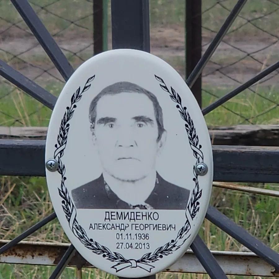 Демиденко Александр Георгиевич