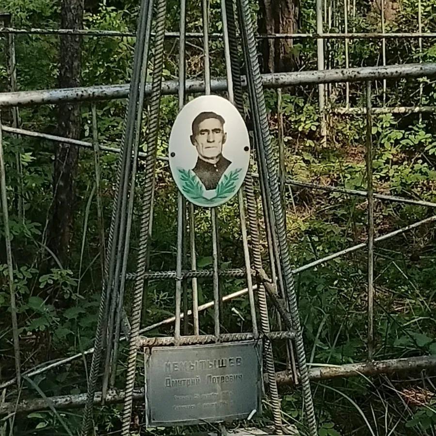 Немытышев Дмитрий Петрович