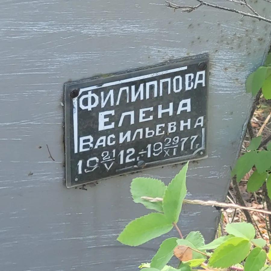 Филиппова Елена Васильевна