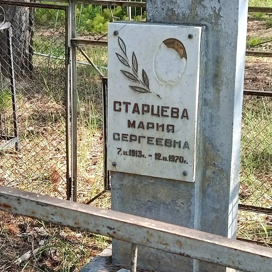 Старцева Мария Сергеевна