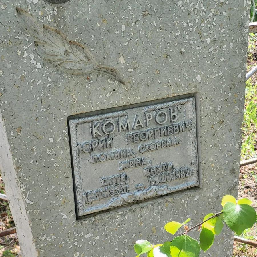Комаров Юрий Георгиевич