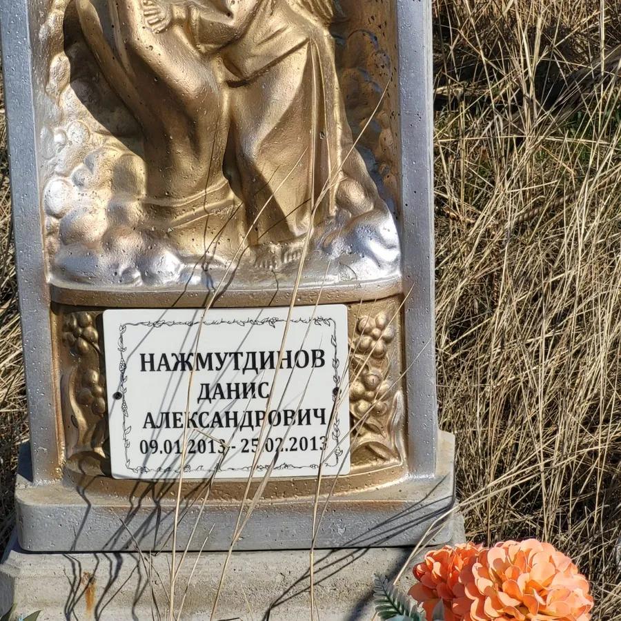 Нажмутдинов Данис Александрович