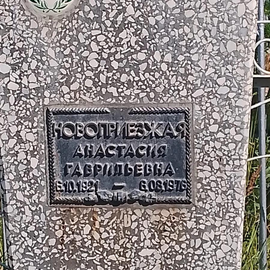 Новоприезжая Анастасия Гаврильевна