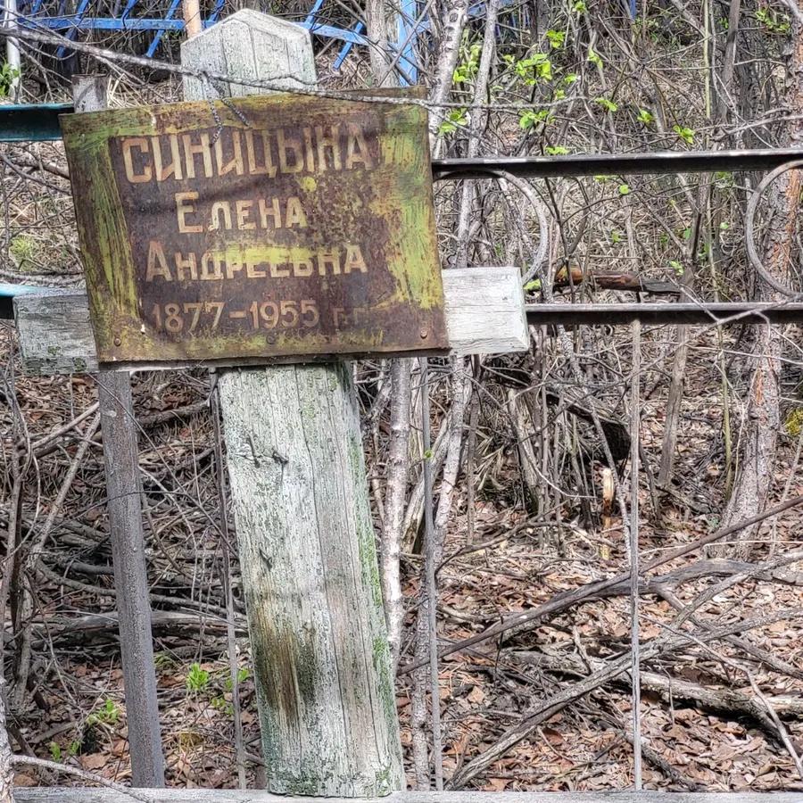 Синицина Елена Андреевна