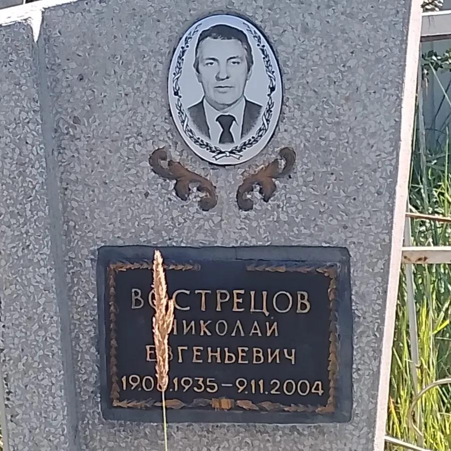 Вострецов Николай Евгеньевич