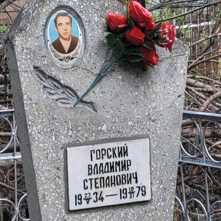 Горский Владимир Степанович