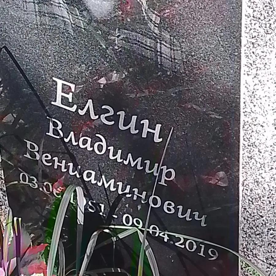 Елгин Владимир Вениаминович
