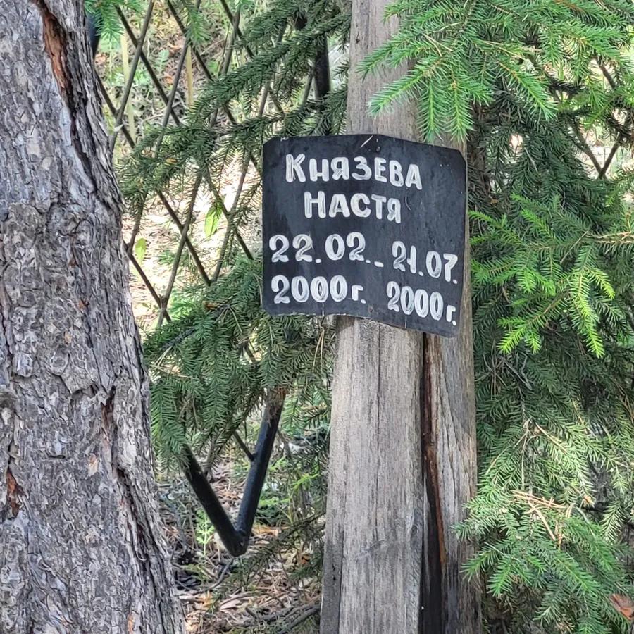 Князева Настя