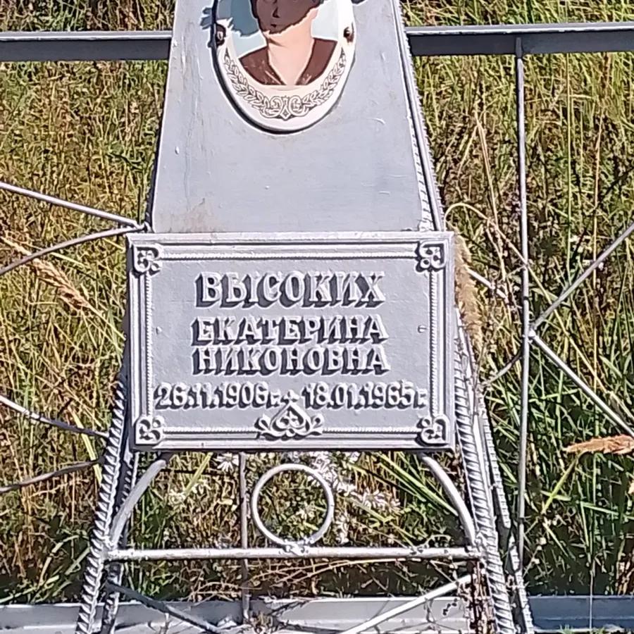 Высоких Екатерина Никоновна