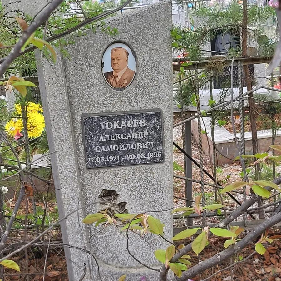 Токарев Александр Самойлович