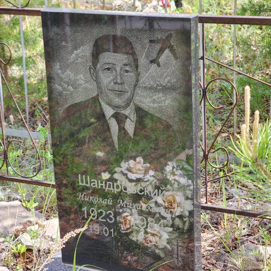 Шандровский Николай Михайлович