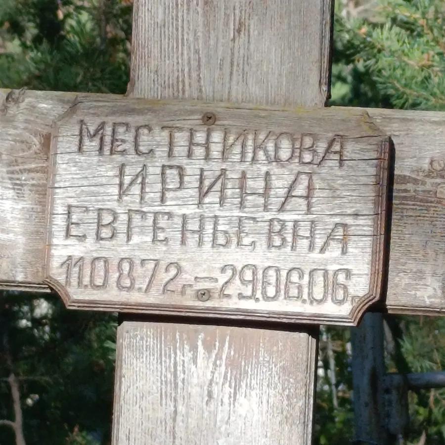 Местникова Ирина Евгеньевна