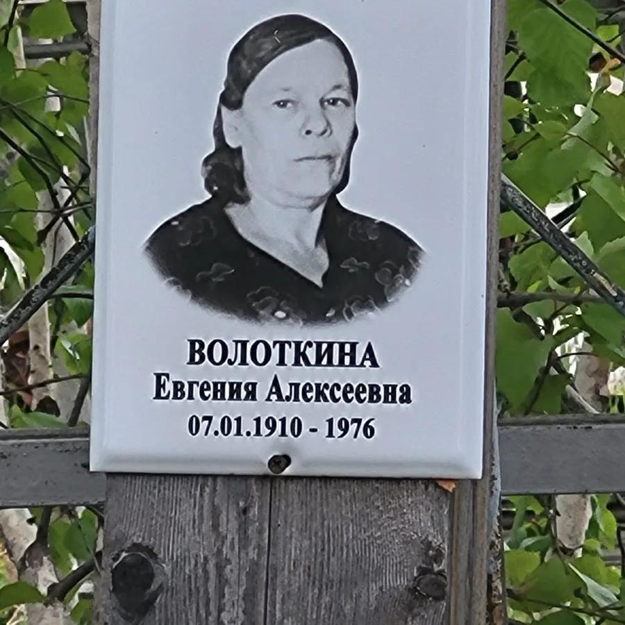 Волоткина Евгения Алексеевна