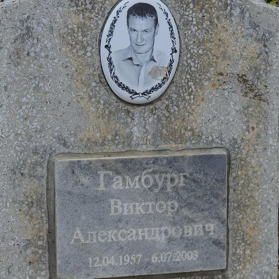 Гамбург Виктор Александрович