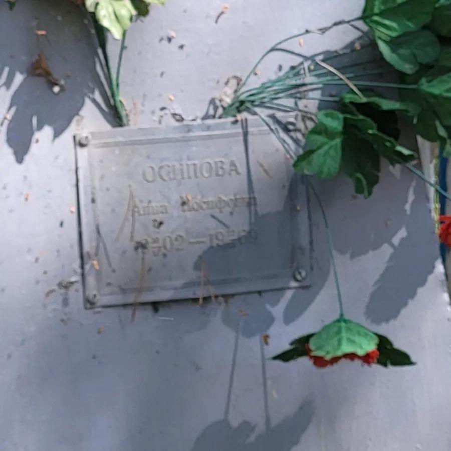Осипова Анна Иосифовна