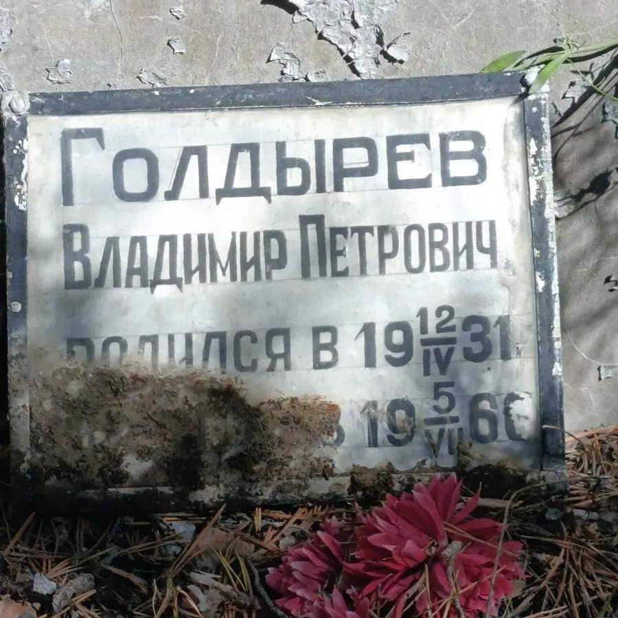 Голдырев Владимир Петрович