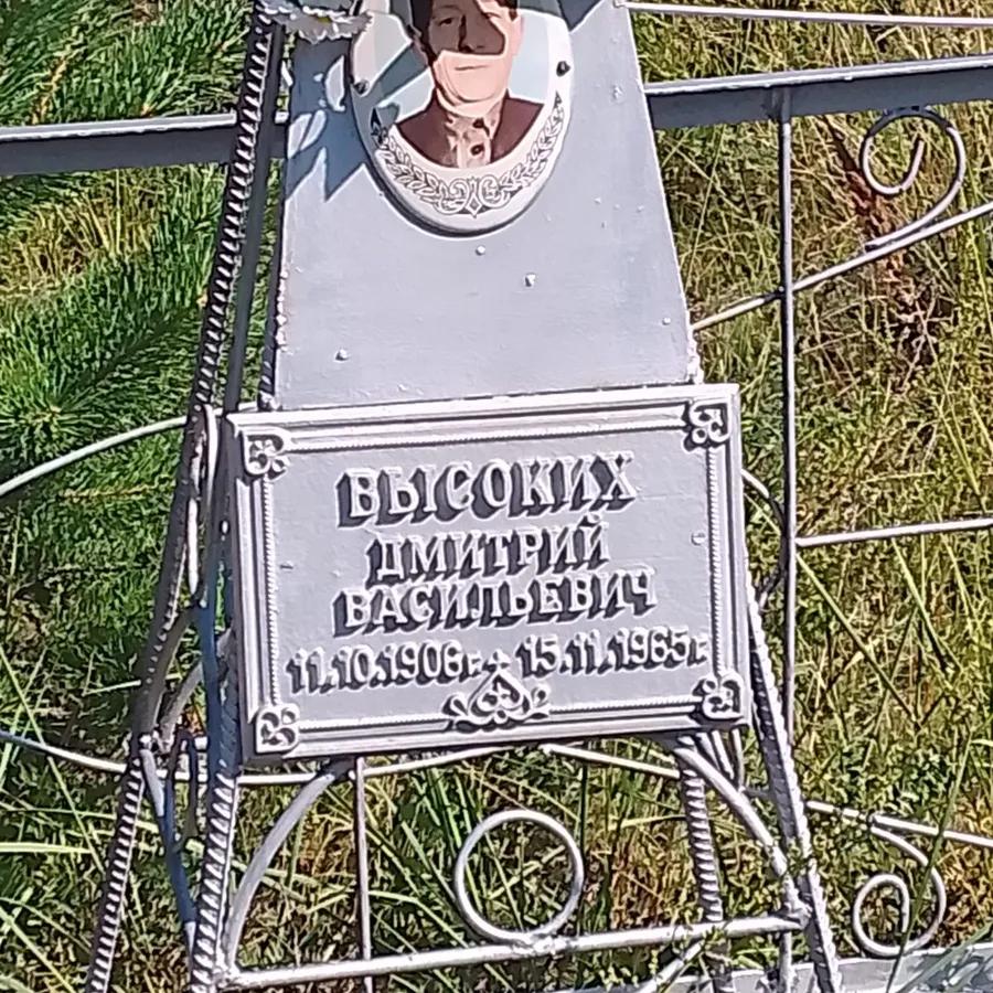 Высоких Дмитрий Васильевич