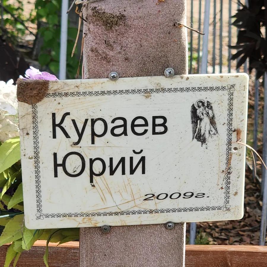 Кураев Юрий