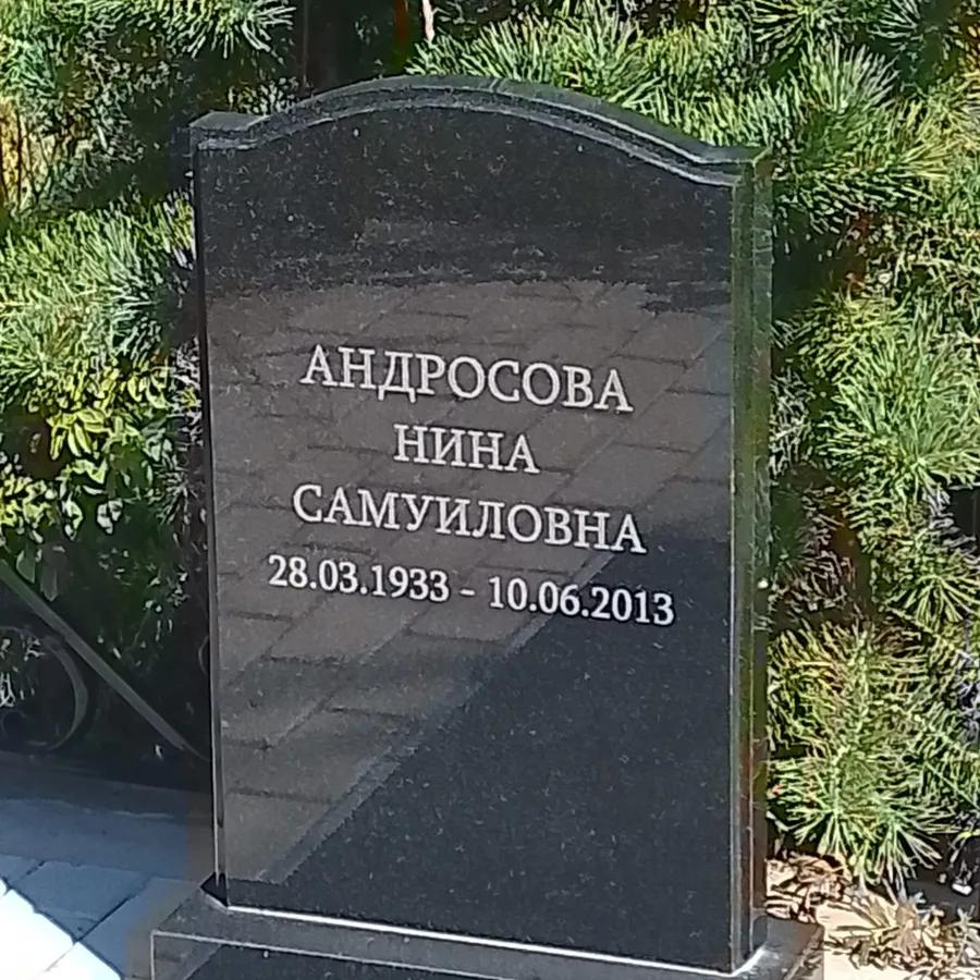 Андросова Нина Самуиловна