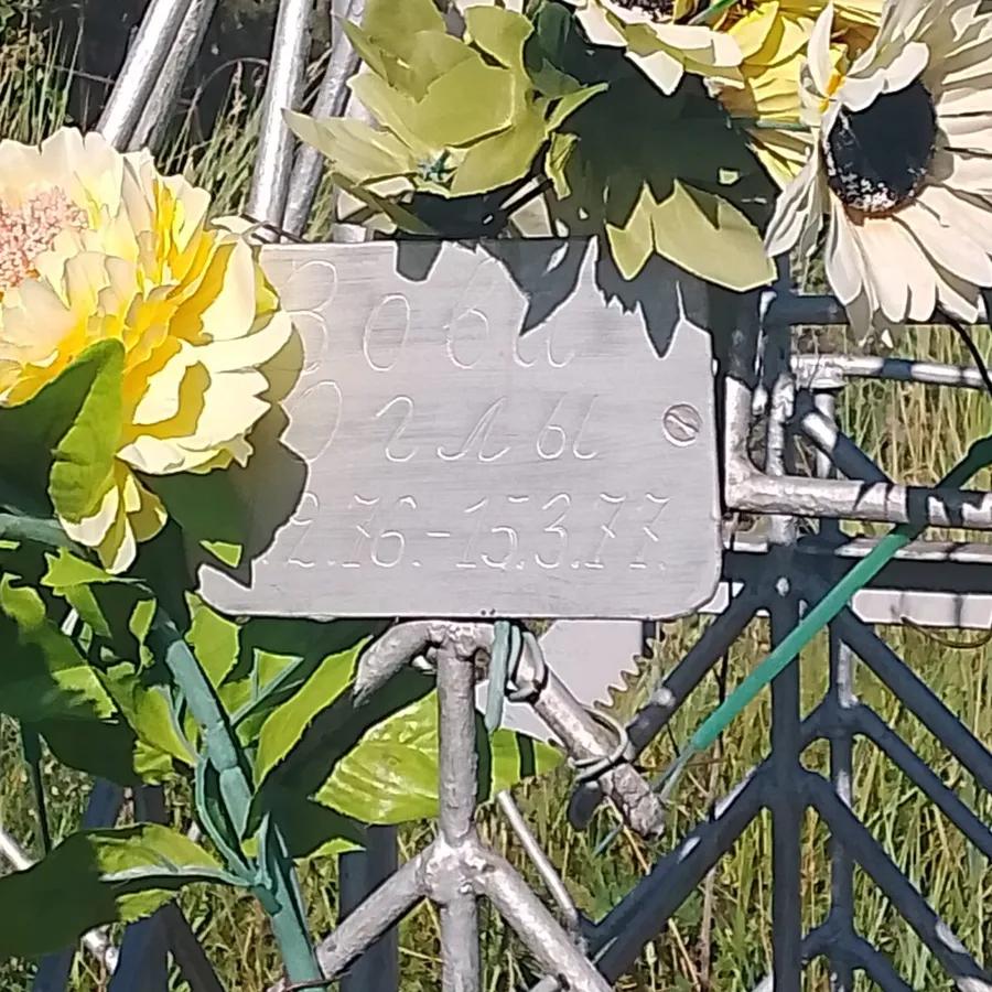 Оглы Вова