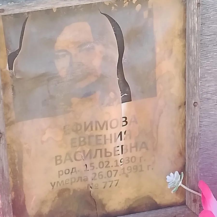 Ефимова Евгения Васильевна