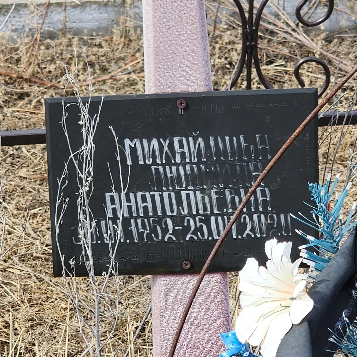Михайлишин Людмила Анатольевна