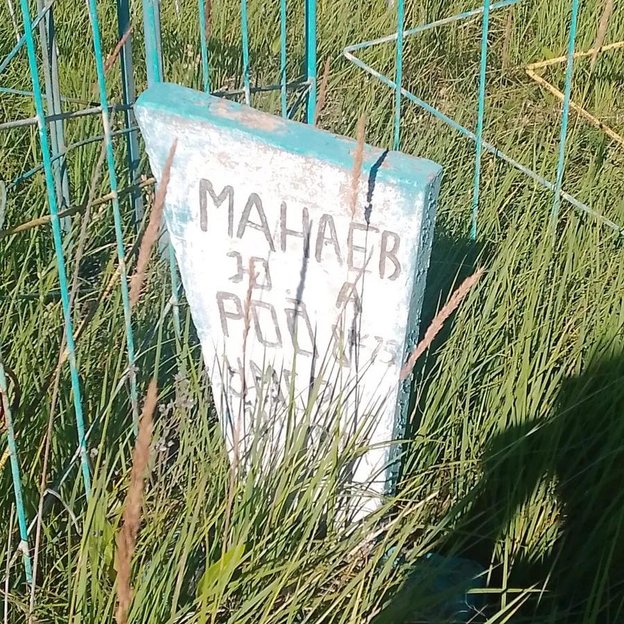 Манаев Ю А