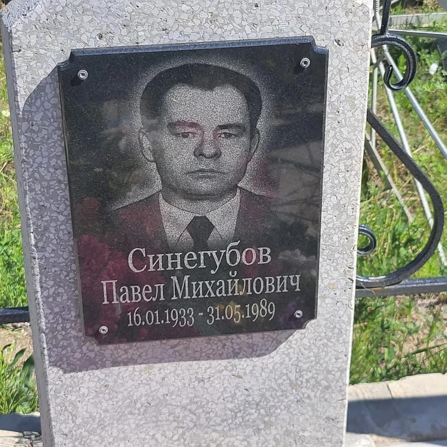 Синегубов Павел Михайлович