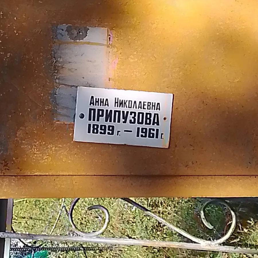 Припузова Анна Николаевна