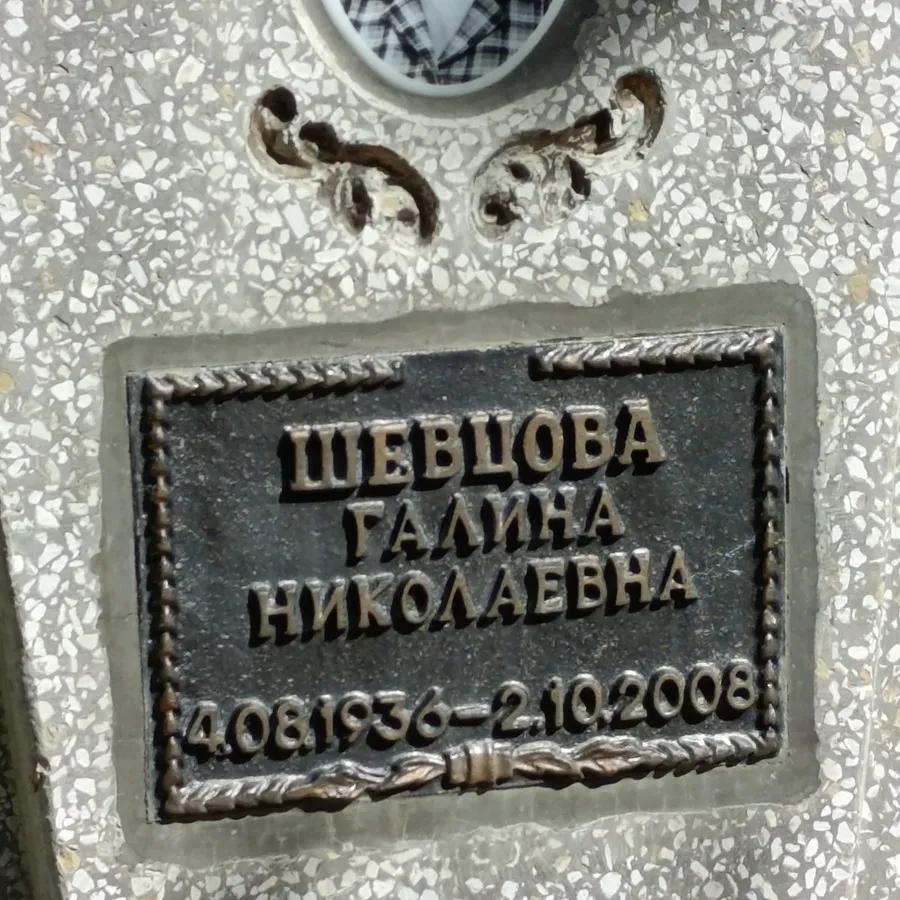 Шевцова Галина Николаевна