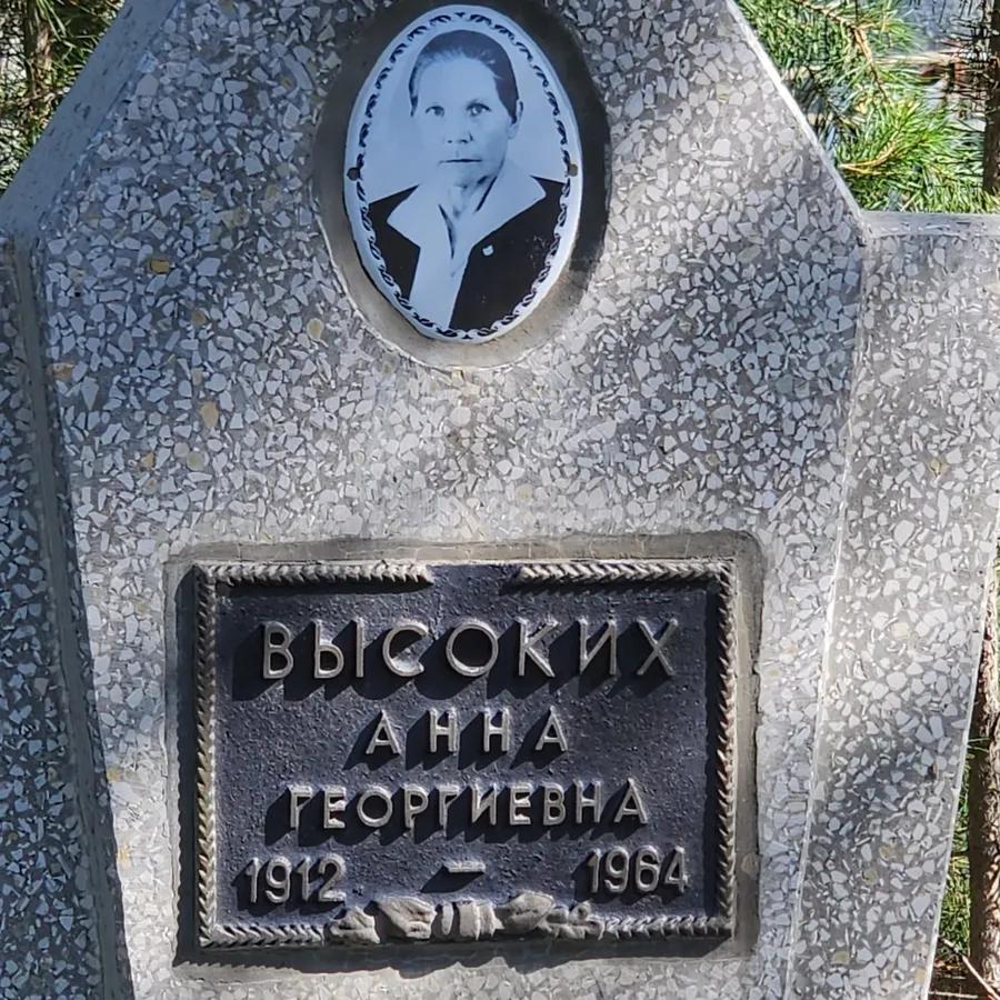 Высоких Анна Георгиевна