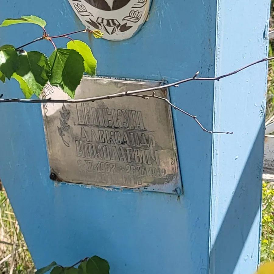 Пискун Александр Николаевич