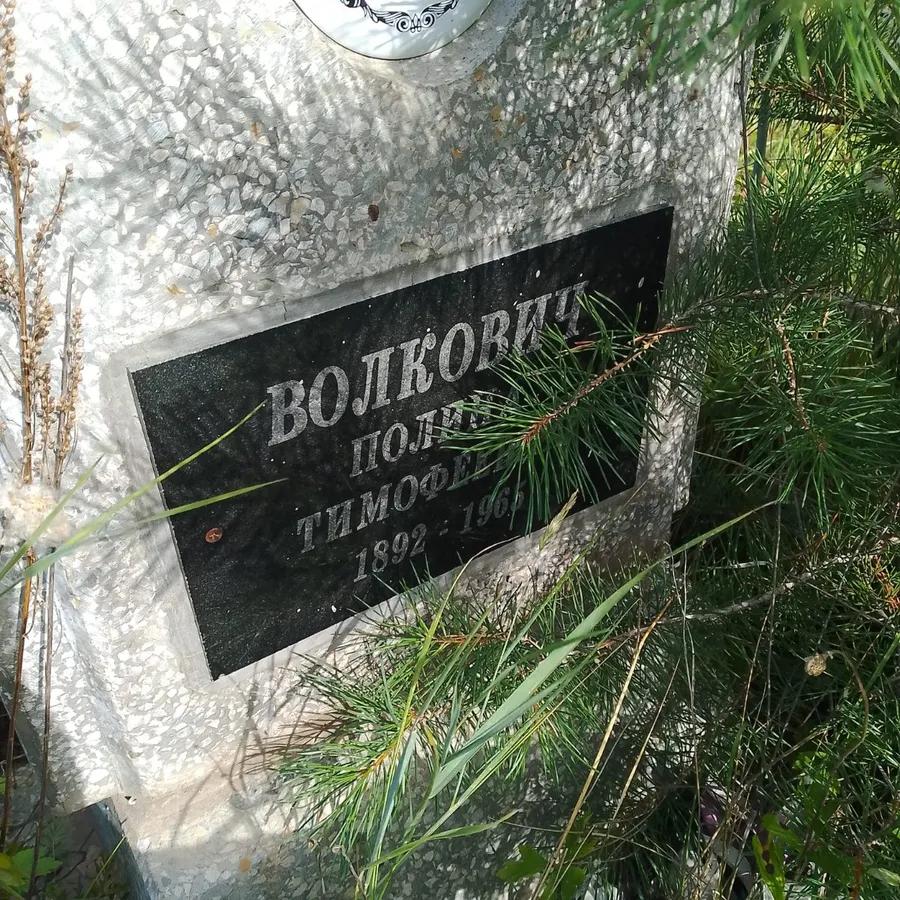Волкович Полина Тимофеевна