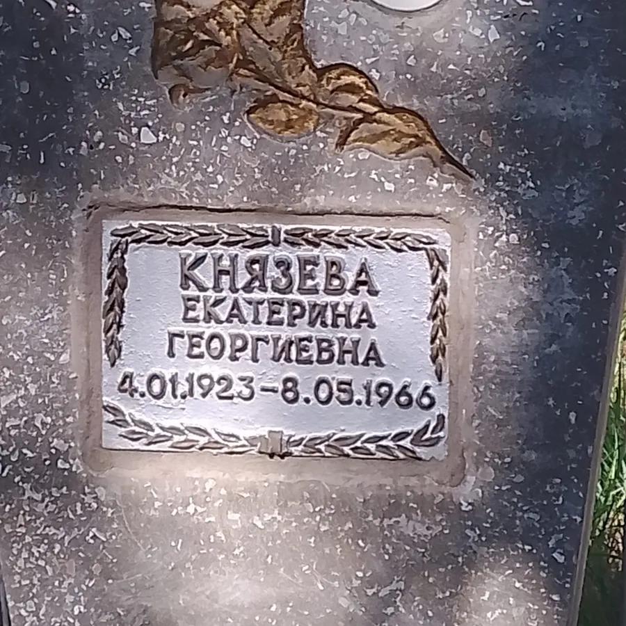 Князева Екатерина Георгиевна