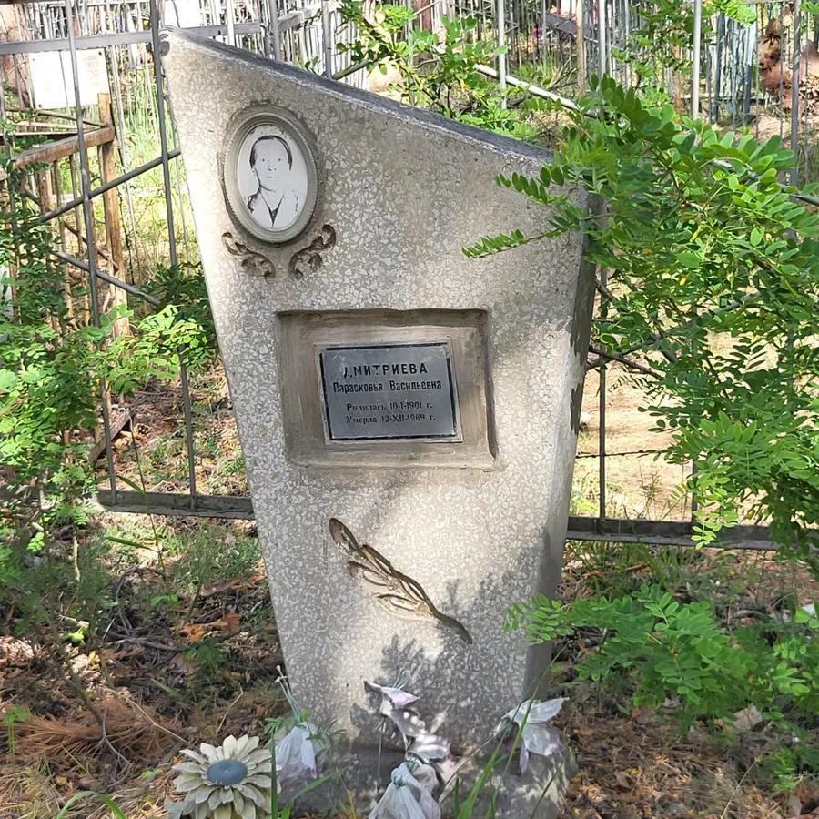Дмитриева Парасковья Васильевна