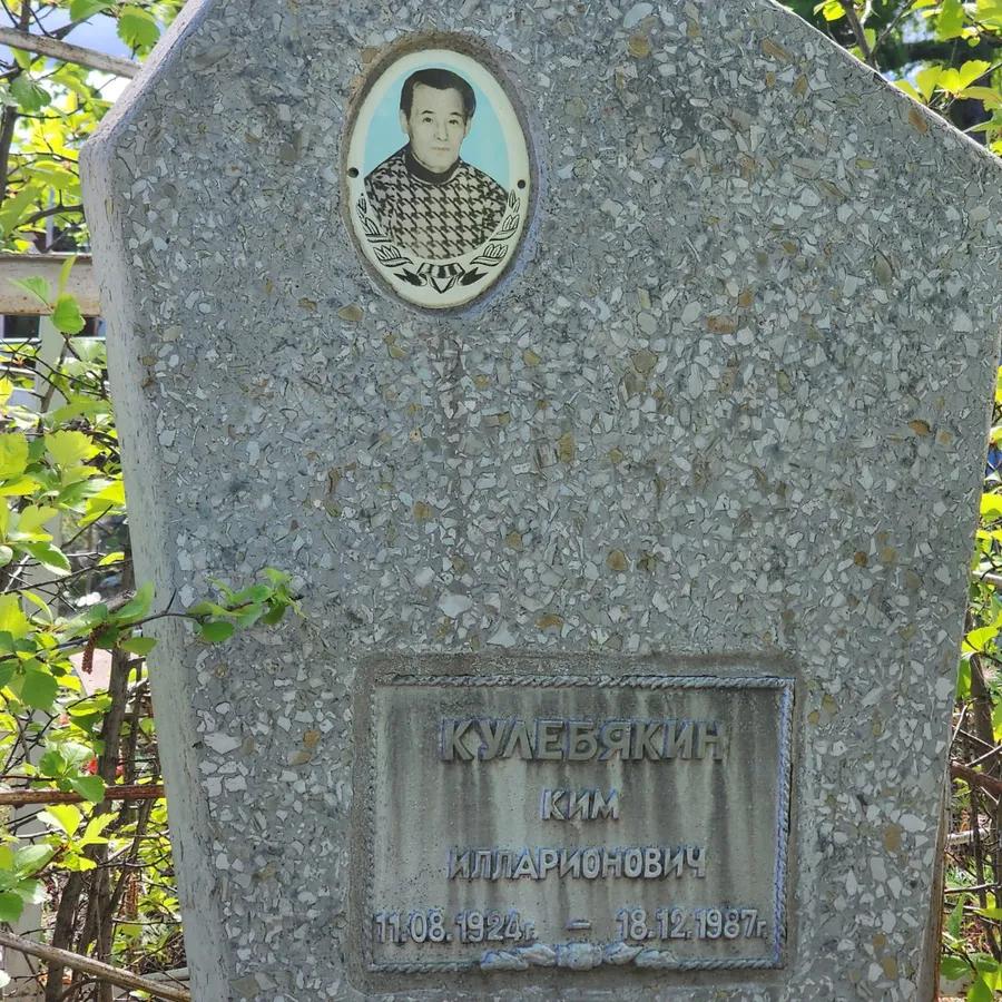 Кулебякин Ким Илларионович