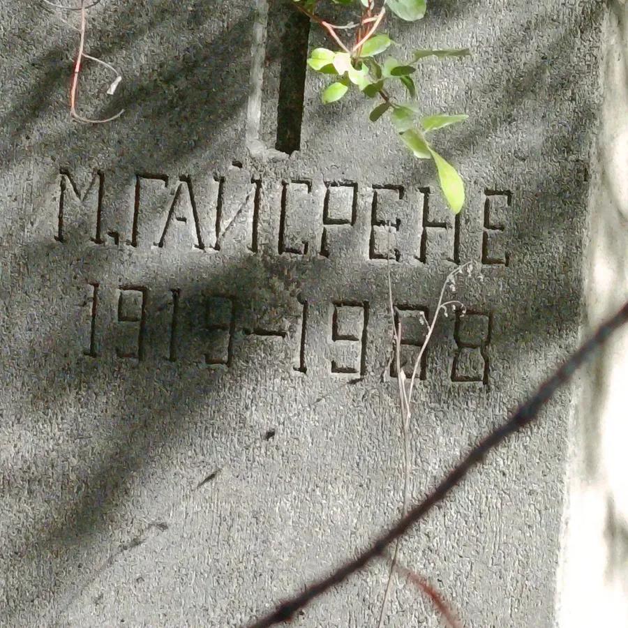 Гайсрене М.