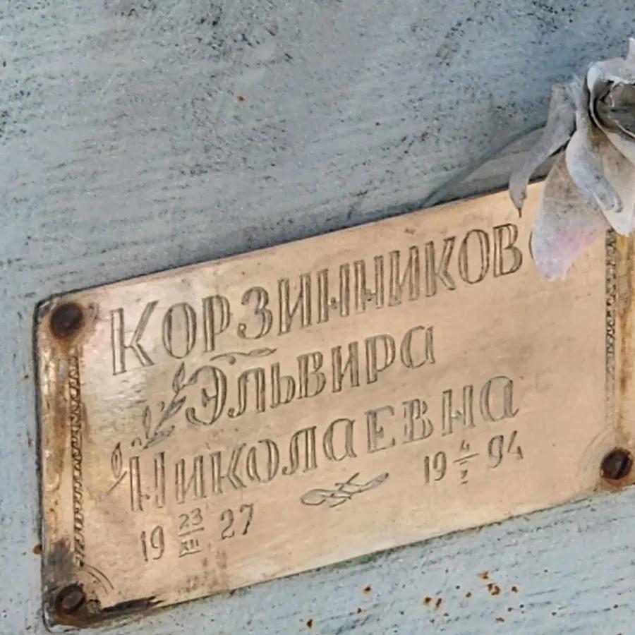 Корзинин Эльвира Николаевна