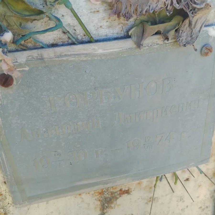 Горбунов Анатолий Дмитриевич