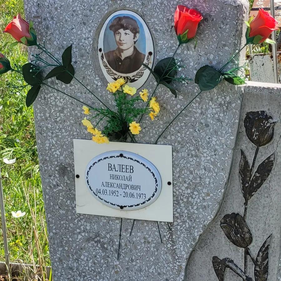 Валеев Николай Александрович